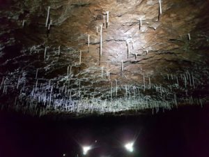 immagine interno grotta