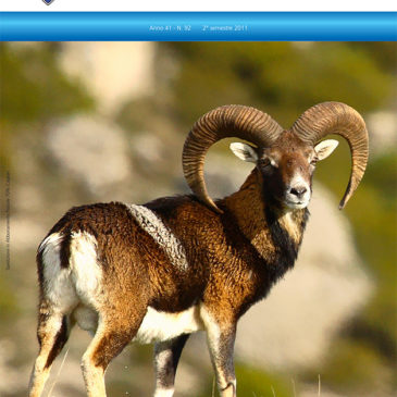 Gennargentu nr. 92
