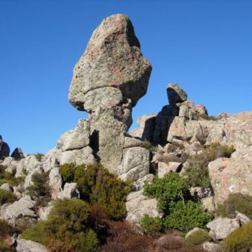 Domenica 5 novembre: Escursione a Monte Genis