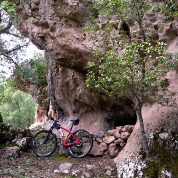 Sabato 31 Marzo – Funtana Raminosa e la foresta di Corongia in MTB