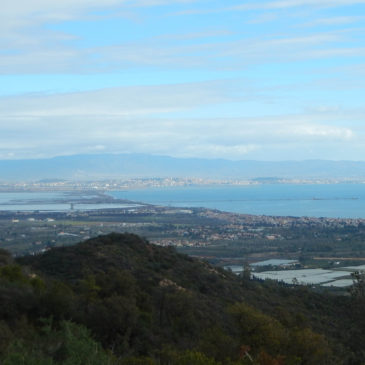 Sabato 16 Febbraio – Poggio dei Pini e i monti di Capoterra in MTB