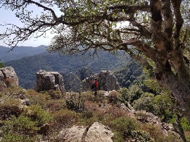 Domenica 17 Novembre 2019 – Punta Sebera – Gola Calamixi