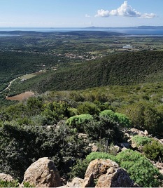 Domenica 17 Ottobre 2021 – Colline di Masainas