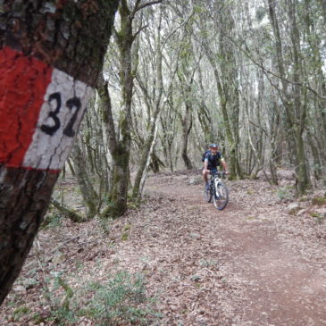 15 Gennaio  – (MTB) La salita di Carraras