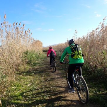 20 Febbraio  – (MTB) Il Parco Naturale di Molentargius in Mountain bike