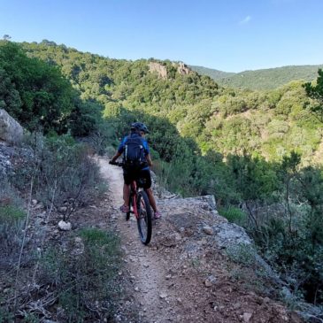 22 Ottobre – (MTB) A spasso per la foresta di Gutturu Mannu