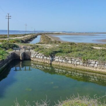 Domenica 11 Maggio 2025 – Saline di Sant’Antioco