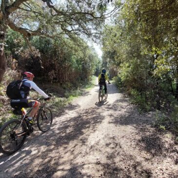 8° Cicloescursione stagionale – 10 Maggio – (MTB) – Da Villamassargia a Terraseo