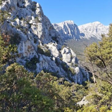 Domenica 25 Maggio 2025 – Oliena: S’Ishala Predu ‘e Lohu
