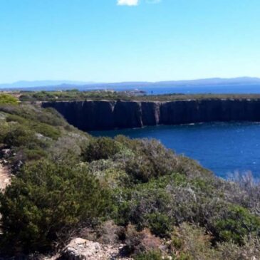 13° Cicloescursione stagionale – 20 Settembre – (MTB) – I vini di San Pietro