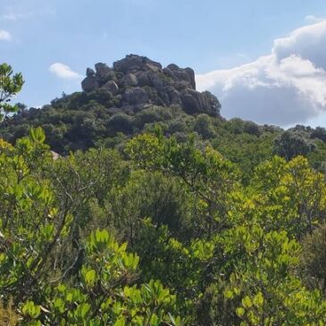 Domenica 02 Novembre 2025 – Arcu Su Schisorgiu – P.ta Is Litteras