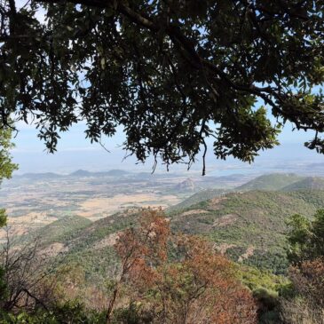 Sabato 29 Novembre 2025 – Monte Orri