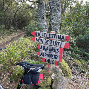 15° Cicloescursione stagionale – 25 Ottobre – (MTB) – Monte Arci.