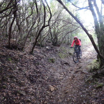 Cicloescursione fuori calendario – 9 novembre – (MTB) – Pedalando lungo il parco forestale dei Sette Fratelli