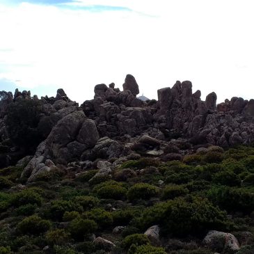 Venerdì 26 Dicembre 2025 – Escursione nataliazia a Monte Genis