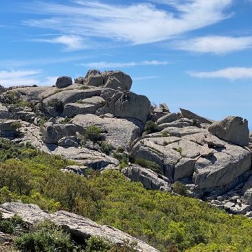 Sabato 24 Gennaio 2026 – Bruncu Nicola Bove (Sentiero Giovanni Pavan)