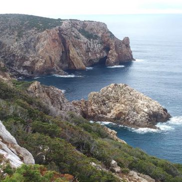 Domenica 01 Febbraio 2026 – Buggerru – Cala Domestica