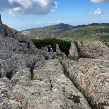 Domenica 22 Febbraio 2022 Bruncu Nicola Bove (Sentiero Giovanni Pavan)