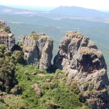 Mercoledì 25 Marzo 2026 – Montevecchio – Monte Maiori