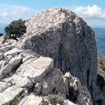 Domenica 19 Aprile 2026 – P.ta Turuddò