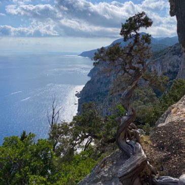 Domenica 26 Aprile 2026 – Sa Nurca – Serra Ovara