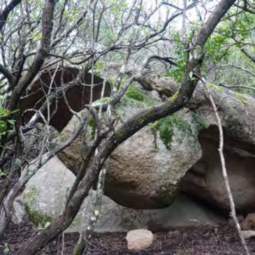 Venerdì 01 Maggio 2026 – Punta Sa Cresia