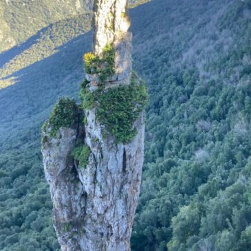 Domenica 07 Giugno 2026 – Foresta Corongia – Gadoni